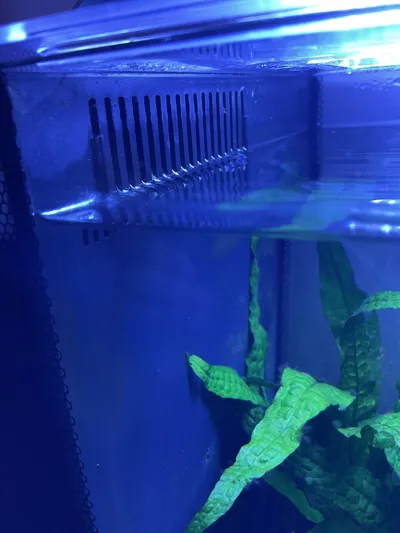 https://makerworld.bblmw.com/makerworld/comment/20260319/2912439423/6c01e29ddadc6d71.jpg