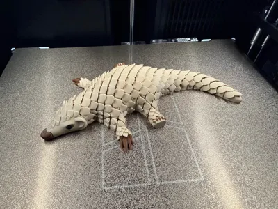 https://makerworld.bblmw.com/makerworld/comment/20260319/3333085257/2feede49b322535d.jpg