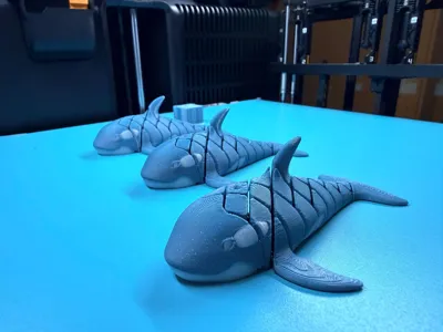 https://makerworld.bblmw.com/makerworld/comment/20260319/3333085257/efa2ba960b82affe.jpg