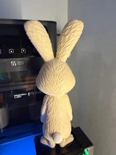 https://makerworld.bblmw.com/makerworld/comment/20260319/3349383149/1dfffbb3dd4744fd.jpg