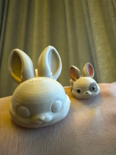 https://makerworld.bblmw.com/makerworld/comment/20260319/3451640527/86e97a3d1b867b87.jpg