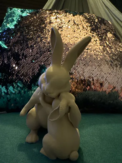 https://makerworld.bblmw.com/makerworld/comment/20260319/3451640527/9a0553012523d785.jpg