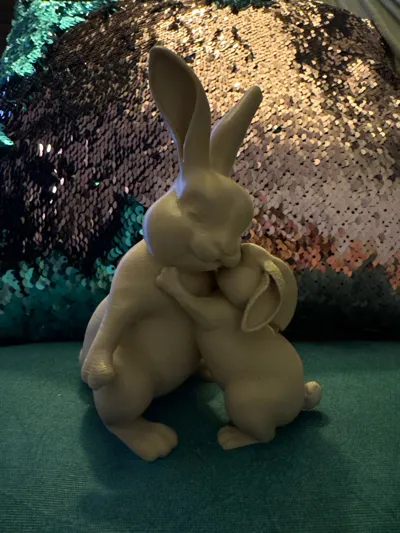 https://makerworld.bblmw.com/makerworld/comment/20260319/3451640527/9e40e76f3b4148ae.jpg