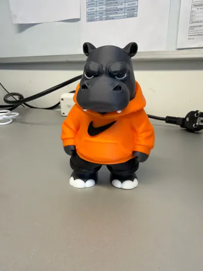 https://makerworld.bblmw.com/makerworld/comment/20260319/383690842/f26bb1d23837bb9f.jpg