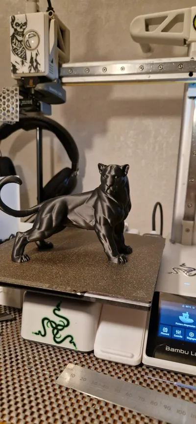 https://makerworld.bblmw.com/makerworld/comment/20260319/3935426796/85d5c6e9826db183.jpg