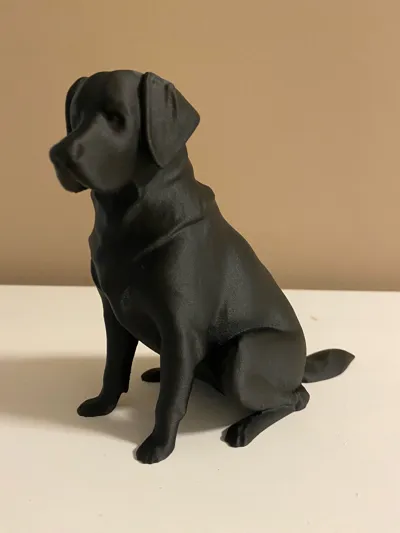 https://makerworld.bblmw.com/makerworld/comment/20260319/4004255091/c1ea3cc4067b4af9.jpg