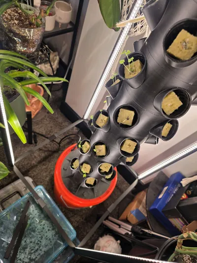 https://makerworld.bblmw.com/makerworld/comment/20260319/4014963050/6979c999dc2cc620.jpg