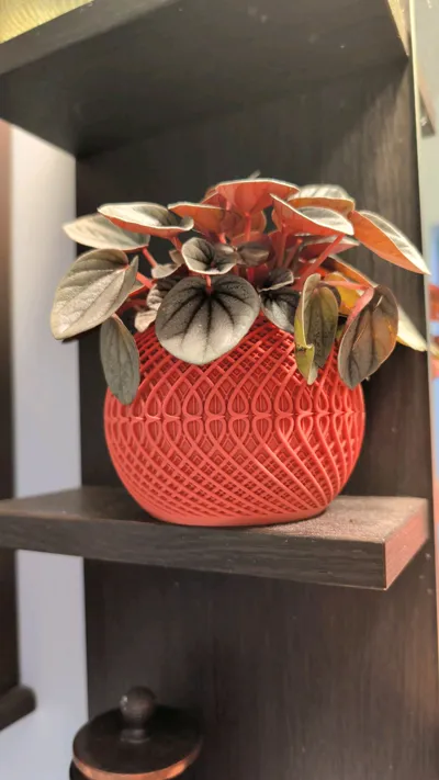 https://makerworld.bblmw.com/makerworld/comment/20260319/443744366/3701219a942ac26e.jpg