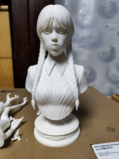 https://makerworld.bblmw.com/makerworld/comment/20260319/515397197/46d6fd5e0310bfff.jpg