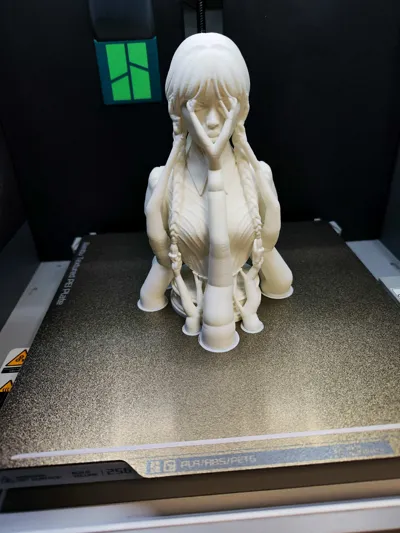 https://makerworld.bblmw.com/makerworld/comment/20260319/515397197/6d49dd449be56441.jpg