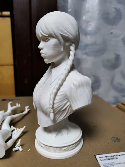 https://makerworld.bblmw.com/makerworld/comment/20260319/515397197/970d939e6984d4c8.jpg