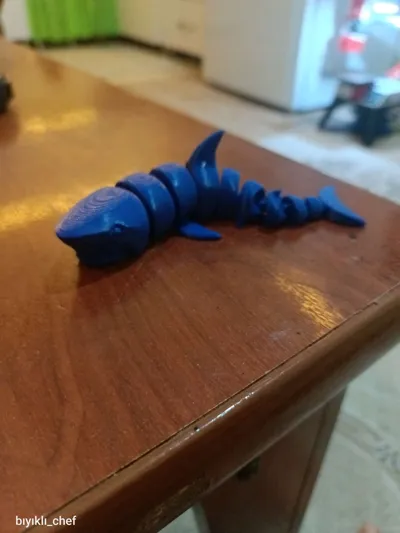 https://makerworld.bblmw.com/makerworld/comment/20260319/636822287/878cc74a84d51a6a.jpg