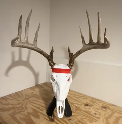 https://makerworld.bblmw.com/makerworld/comment/20260319/808701522/a306c1bcfc02e09e.jpg