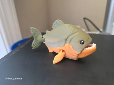 https://makerworld.bblmw.com/makerworld/comment/20260319/937451143/91a727dcd0977978.jpg