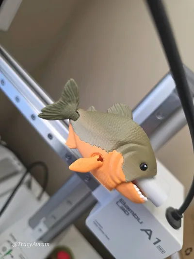 https://makerworld.bblmw.com/makerworld/comment/20260319/937451143/b497d9c3fcdd5e8f.jpg