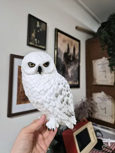 https://makerworld.bblmw.com/makerworld/comment/20260320/1001866864/57d51b73e469165e.jpg