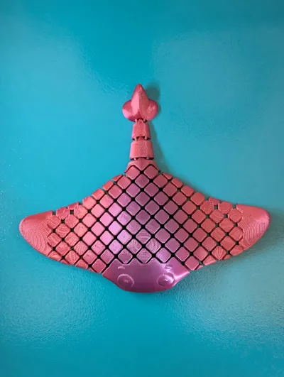 https://makerworld.bblmw.com/makerworld/comment/20260320/1113119557/2bc1d47ca649330e.jpg