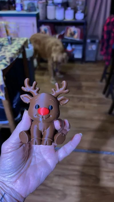 https://makerworld.bblmw.com/makerworld/comment/20260320/1206862565/dc1324e1c00531fb.jpg