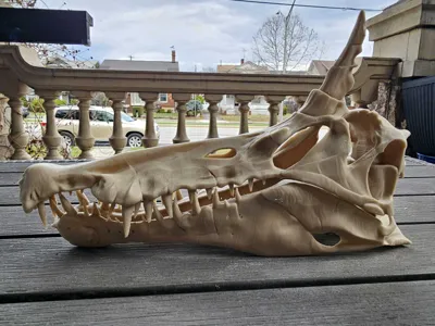 https://makerworld.bblmw.com/makerworld/comment/20260320/1286245988/fc85c3dff389104c.jpg
