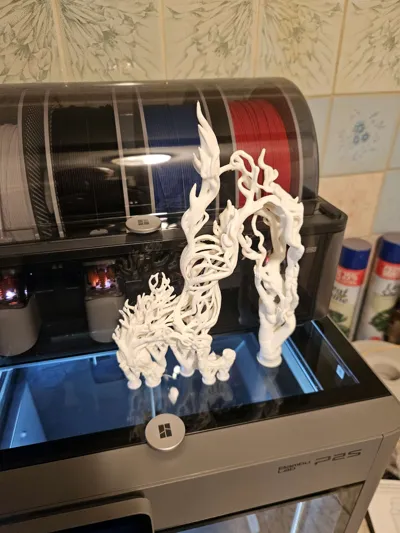 https://makerworld.bblmw.com/makerworld/comment/20260320/152368455/9dbe698351ff2c08.jpg