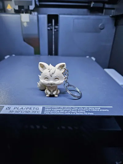 https://makerworld.bblmw.com/makerworld/comment/20260320/2107056867/fd8d03929133b265.jpg