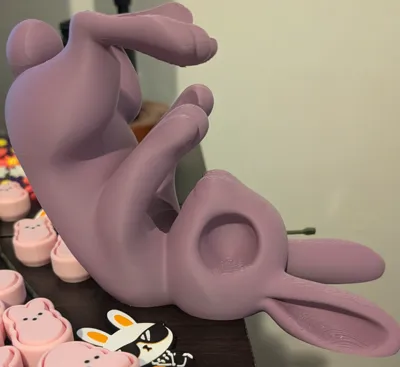 https://makerworld.bblmw.com/makerworld/comment/20260320/2272069175/9e556972f26cf662.png
