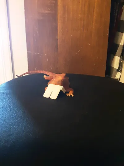 https://makerworld.bblmw.com/makerworld/comment/20260320/2800298435/08f132a17f2fac99.jpg