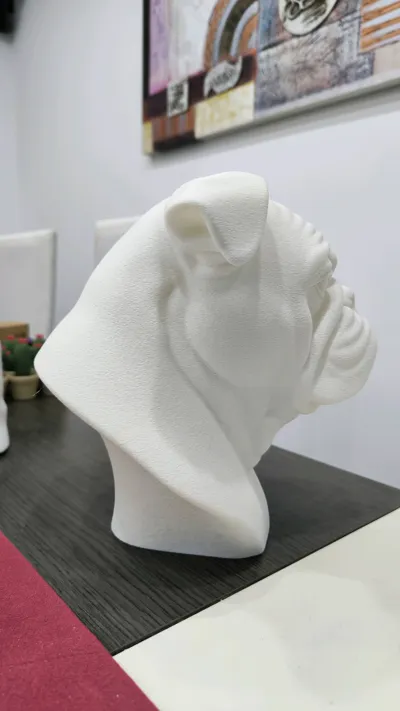 https://makerworld.bblmw.com/makerworld/comment/20260320/2964972225/77d353242a6c0b82.jpg
