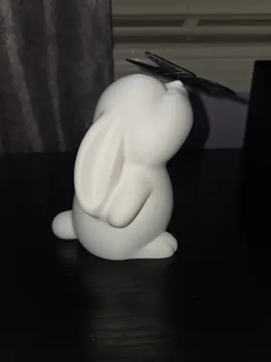 https://makerworld.bblmw.com/makerworld/comment/20260320/3006358945/ac8e7a4da3bef20a.jpg
