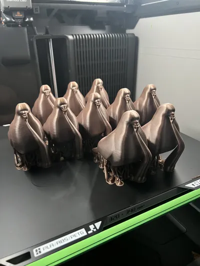 https://makerworld.bblmw.com/makerworld/comment/20260320/3015462731/ff63fc521ab9ccb9.jpg