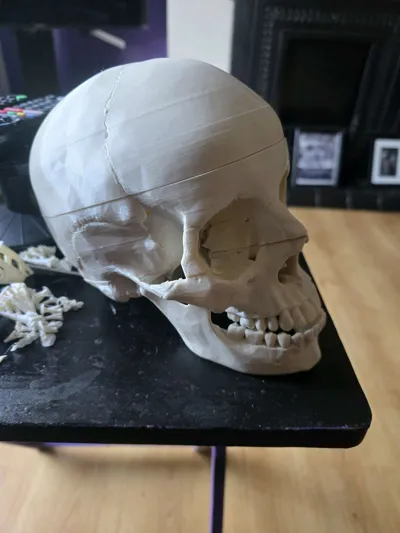 https://makerworld.bblmw.com/makerworld/comment/20260320/3697906142/125127d7c87b3e9b.jpg