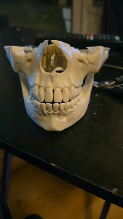 https://makerworld.bblmw.com/makerworld/comment/20260320/3697906142/7991d5f950201b23.jpg