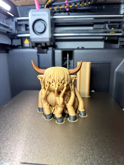 https://makerworld.bblmw.com/makerworld/comment/20260320/3855107169/0ec3a371dbffba19.jpg