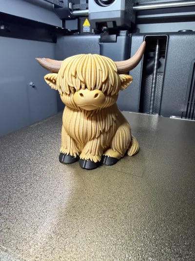 https://makerworld.bblmw.com/makerworld/comment/20260320/3855107169/5b11c2008c09fb0a.jpg