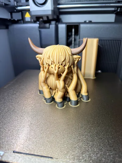 https://makerworld.bblmw.com/makerworld/comment/20260320/3855107169/9b572716a2121d6b.jpg