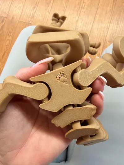 https://makerworld.bblmw.com/makerworld/comment/20260320/3855107169/ac50140d81449741.jpg