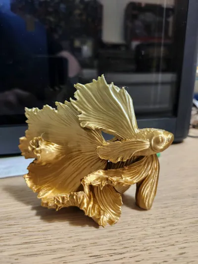 https://makerworld.bblmw.com/makerworld/comment/20260320/4075213350/d585bab93d550475.jpg