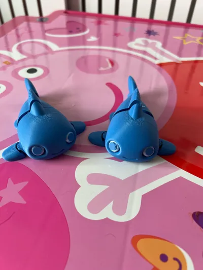 https://makerworld.bblmw.com/makerworld/comment/20260320/4167708116/7d4c2bec886f9643.jpg
