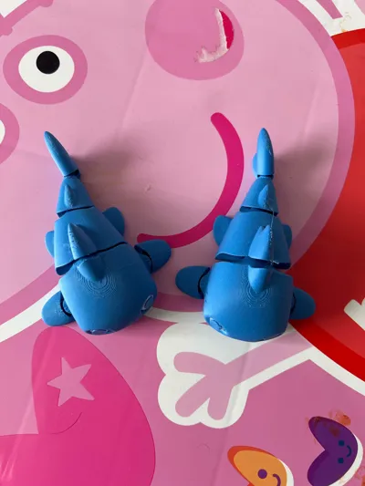 https://makerworld.bblmw.com/makerworld/comment/20260320/4167708116/915bd9ad51c82383.jpg