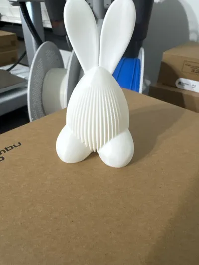 https://makerworld.bblmw.com/makerworld/comment/20260320/4257903782/cc35b62d8a3129e6.jpg