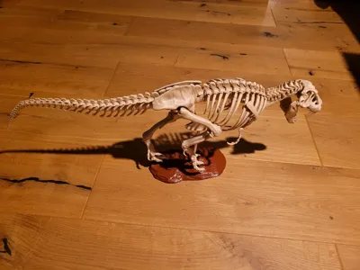 https://makerworld.bblmw.com/makerworld/comment/20260320/4279547866/c60a5484e6559852.jpg