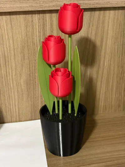 https://makerworld.bblmw.com/makerworld/comment/20260320/557189226/594fdf0641ae9f92.jpg