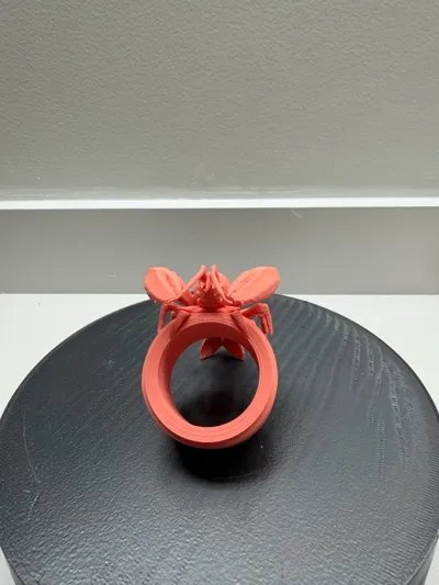 https://makerworld.bblmw.com/makerworld/comment/20260321/1105710908/2640d17aba25e247.jpg