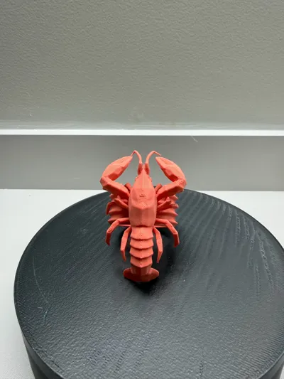 https://makerworld.bblmw.com/makerworld/comment/20260321/1105710908/5dfd9431a474c71c.jpg