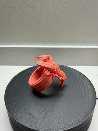 https://makerworld.bblmw.com/makerworld/comment/20260321/1105710908/d04ea7b53fc06c9d.jpg