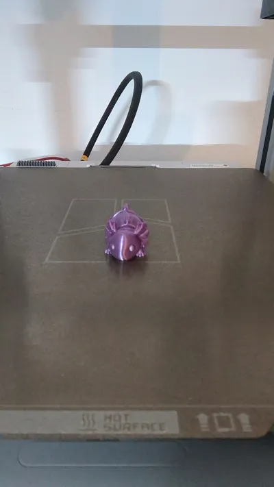 https://makerworld.bblmw.com/makerworld/comment/20260321/1263795122/12d9d7e988fb546a.jpg
