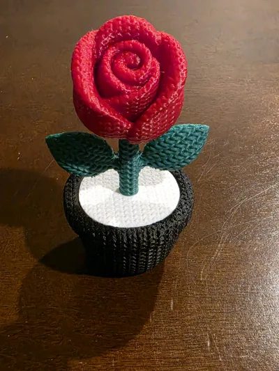 https://makerworld.bblmw.com/makerworld/comment/20260321/1707829563/39d21bfd594f080d.jpg