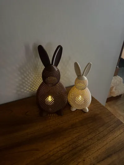 https://makerworld.bblmw.com/makerworld/comment/20260321/1719573271/43b0833ce97be2d6.jpg