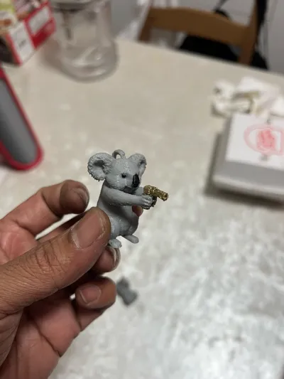 https://makerworld.bblmw.com/makerworld/comment/20260321/2019078042/a5d909dbf0385cb0.jpg