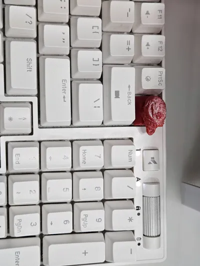 https://makerworld.bblmw.com/makerworld/comment/20260321/2214204821/7b349470bcabcb4a.jpg